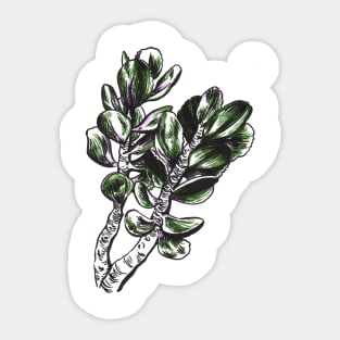 Plant Drawing Sticker